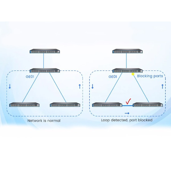 HSGQ 48*Port Internet PoE Switch Setup for Monitor