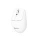 Meetion BTM012 Dual-Mode Ergonomic Wireless Mouse